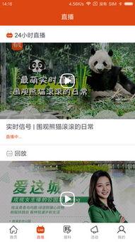 新闻爆料在哪里看啊视频,如何轻松观看“在哪里看啊视频”  第1张