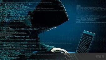 黑客爆料视频大全网站,黑客爆料视频大全网站内幕大曝光 第1张 黑客爆料视频大全网站,黑客爆料视频大全网站内幕大曝光 第1张