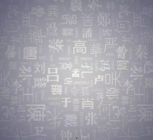 广西姓氏爆料最新消息是什么,最新家族传承揭秘，探寻广西姓氏源流与变迁  第2张